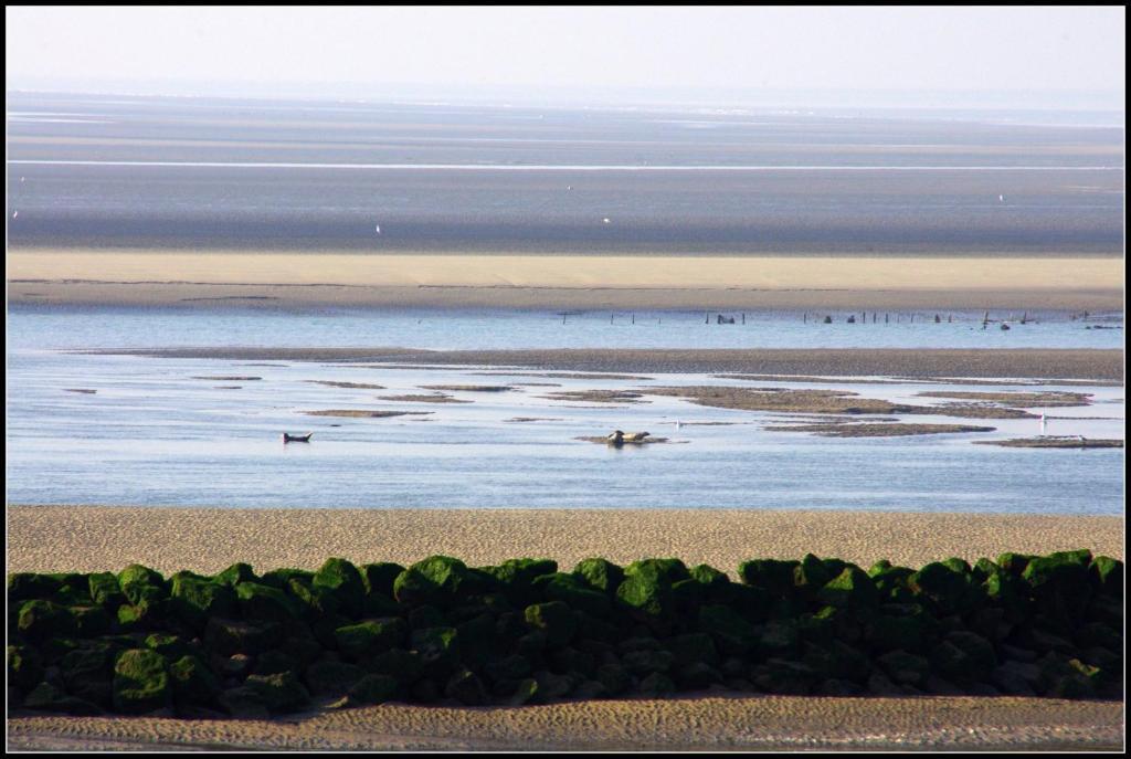 Logis Hotel & Restaurant "Au Gre Du Vent" Berck Kültér fotó
